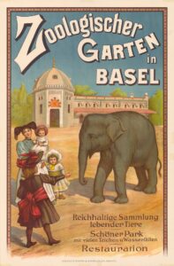 Infobasel.ch zoo-basel2-197x300 Zoo Basel – 7 Bewegende Kapitel einer Tiergarten-Legende zwischen Tradition, Innovation und Artenschutz