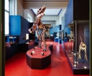 Naturhistorische-Museum-Basel-e1772456035385-300x250 Naturhistorisches Museum Basel – Wissenschaft, Sammlungstradition und Architektur am Augustinergasse